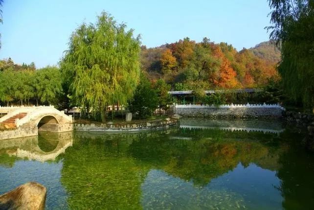 來(lái)大楊山國(guó)家森林公園邂逅真正的秋天