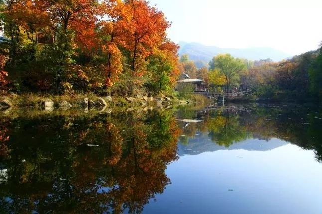 來(lái)大楊山國(guó)家森林公園邂逅真正的秋天