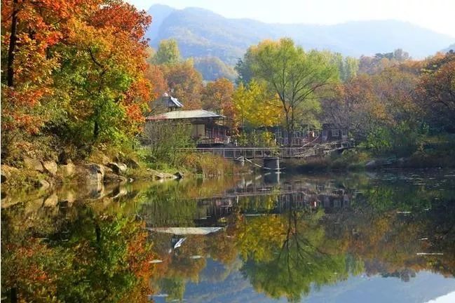 來(lái)大楊山國(guó)家森林公園邂逅真正的秋天