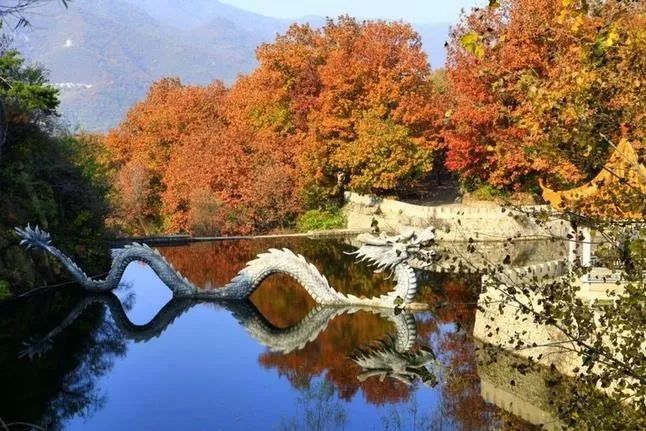 來(lái)大楊山國(guó)家森林公園邂逅真正的秋天