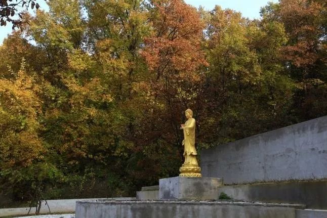 來(lái)大楊山國(guó)家森林公園邂逅真正的秋天