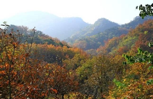 來(lái)大楊山國(guó)家森林公園邂逅真正的秋天