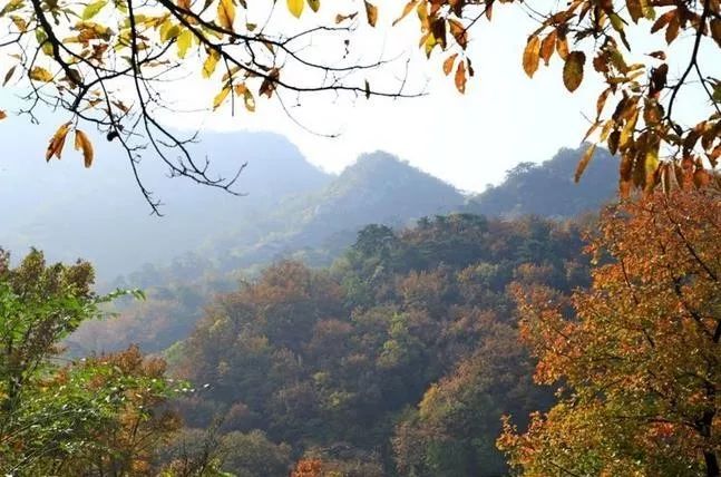 來(lái)大楊山國(guó)家森林公園邂逅真正的秋天