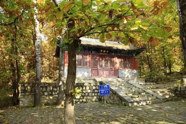 來(lái)大楊山國(guó)家森林公園邂逅真正的秋天