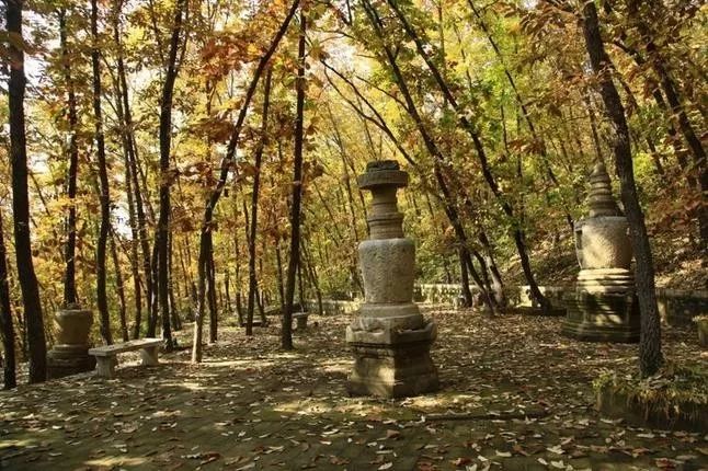 來(lái)大楊山國(guó)家森林公園邂逅真正的秋天