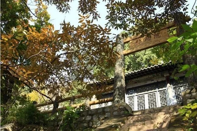 來(lái)大楊山國(guó)家森林公園邂逅真正的秋天