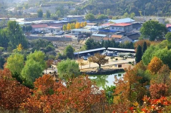 來(lái)大楊山國(guó)家森林公園邂逅真正的秋天