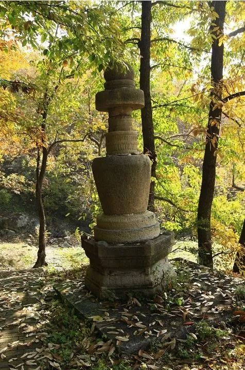 來(lái)大楊山國(guó)家森林公園邂逅真正的秋天