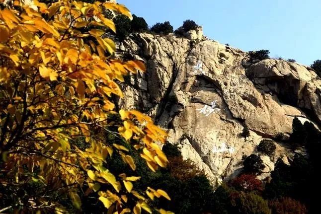 來(lái)大楊山國(guó)家森林公園邂逅真正的秋天