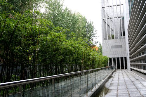 園冶杯專業獎：中國煙草合肥設計院科技樓