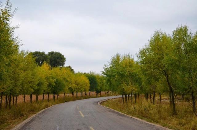 山西龐泉溝森林保護(hù)公園秋意濃濃