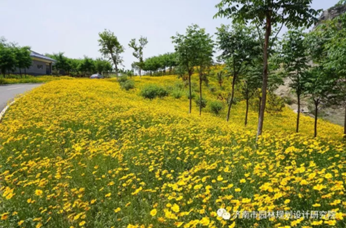國土部考察濟(jì)南園林院臥牛山地質(zhì)公園項(xiàng)目