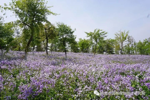 國土部考察濟(jì)南園林院臥牛山地質(zhì)公園項(xiàng)目