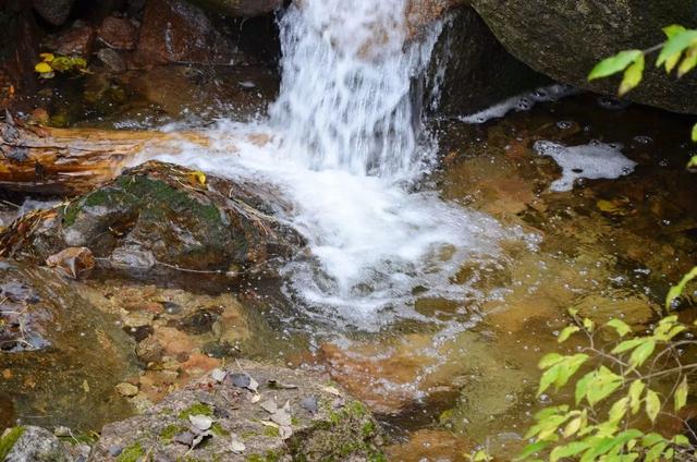 山西龐泉溝森林保護(hù)公園秋意濃濃