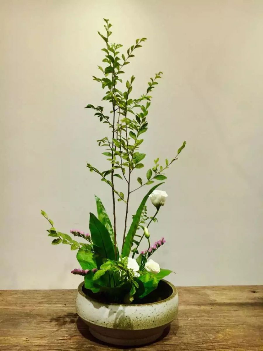 中式插花的布局技巧