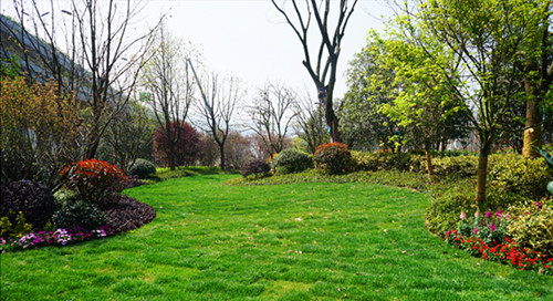 園冶杯專業(yè)獎:半山繞城入城口綜合整治