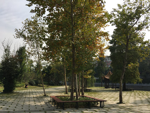 園冶杯專業(yè)獎:滁州內(nèi)城河景觀改造設(shè)計