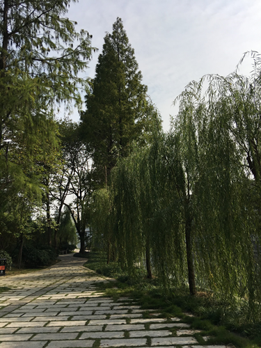 園冶杯專業(yè)獎:滁州內(nèi)城河景觀改造設(shè)計