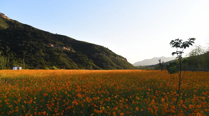 海港區(qū)北部片區(qū)美麗鄉(xiāng)村環(huán)境綜合提升工程