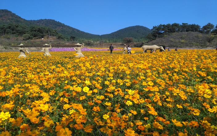海港區(qū)北部片區(qū)美麗鄉(xiāng)村環(huán)境綜合提升工程