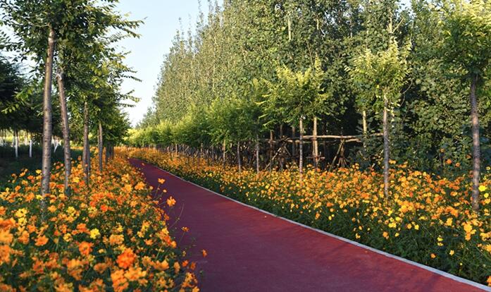 海港區(qū)北部片區(qū)美麗鄉(xiāng)村環(huán)境綜合提升工程