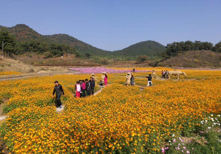 海港區(qū)北部片區(qū)美麗鄉(xiāng)村環(huán)境綜合提升工程
