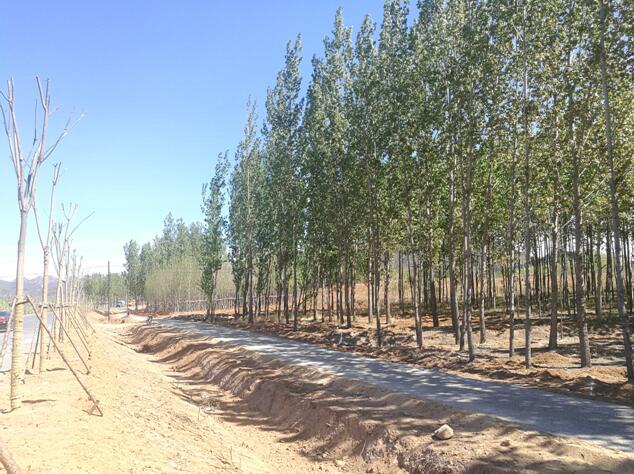 海港區(qū)北部片區(qū)美麗鄉(xiāng)村環(huán)境綜合提升工程