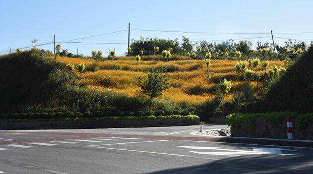 海港區(qū)北部片區(qū)美麗鄉(xiāng)村環(huán)境綜合提升工程