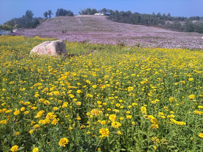 海港區(qū)北部片區(qū)美麗鄉(xiāng)村環(huán)境綜合提升工程
