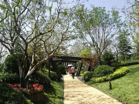 園冶杯專業獎：濟南萬科龍湖城市之光施工