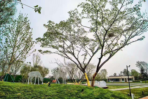 園冶杯專業獎：濟南萬科龍湖城市之光施工