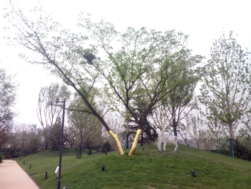 園冶杯專業獎：濟南萬科龍湖城市之光施工