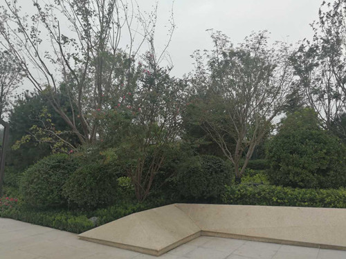 園冶杯專業獎：濟南萬科龍湖城市之光施工