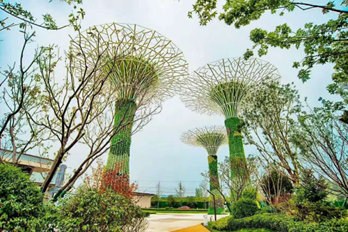 園冶杯專業獎：濟南萬科龍湖城市之光施工