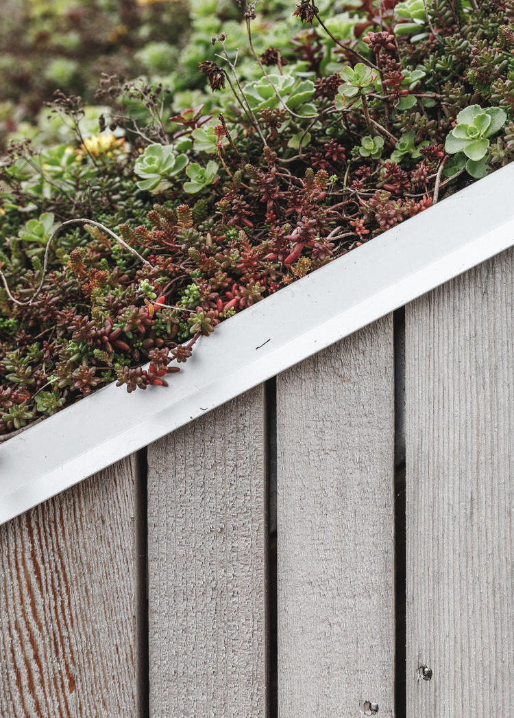 丹麥這座公園，有趣結合了人造設施與自然景觀