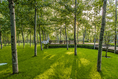 園冶杯專業(yè)獎:北京中糧京西祥云