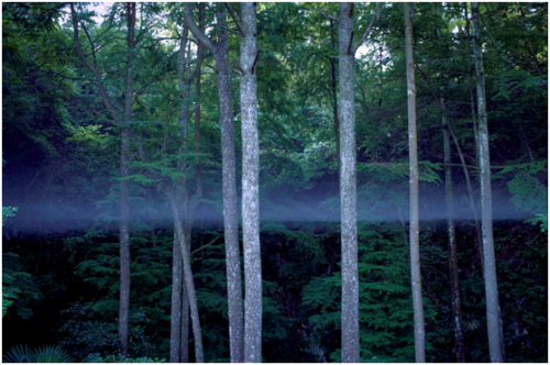 瑤琳國家森林公園，江南印象