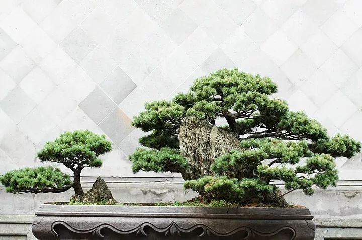 中國傳統園林建筑小品