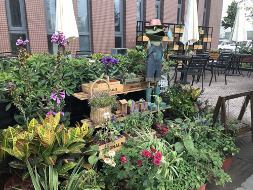 園冶杯專業(yè)獎(jiǎng):鴻坤智谷景觀設(shè)計(jì)