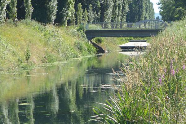 讓被廢棄的河流煥發新生的景觀設計方案
