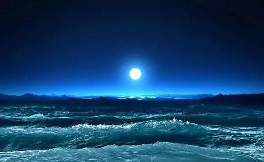 從這四個(gè)小細(xì)節(jié)讀懂中國(guó)古典園林的浪漫!