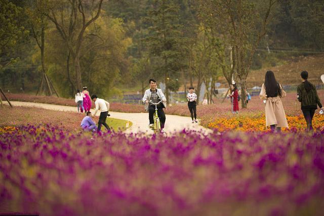 航拍貴州畢節金海湖濕地公園