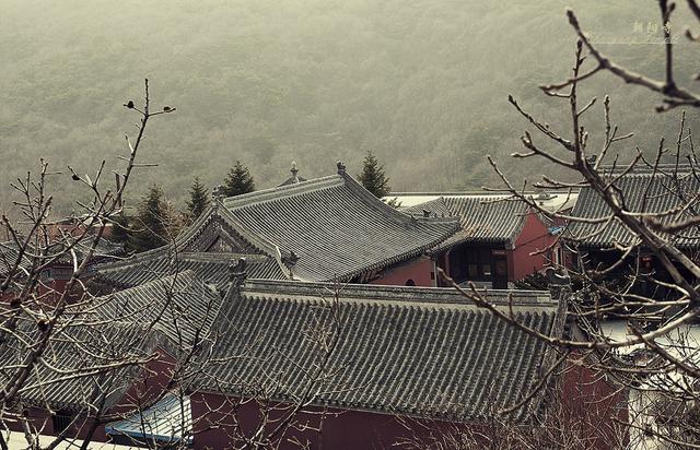 大連西郊國家森林公園朝陽古寺