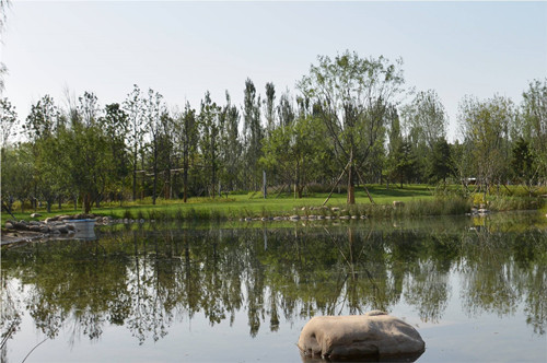 園冶杯專業獎:固安中央公園景觀設計