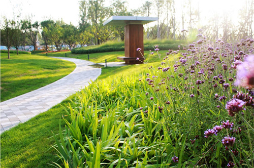 園冶杯專業獎:固安中央公園景觀設計