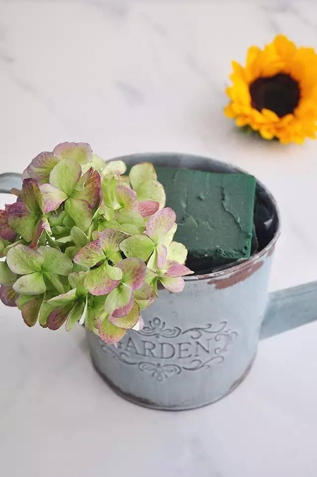 秋日花園里的小情調