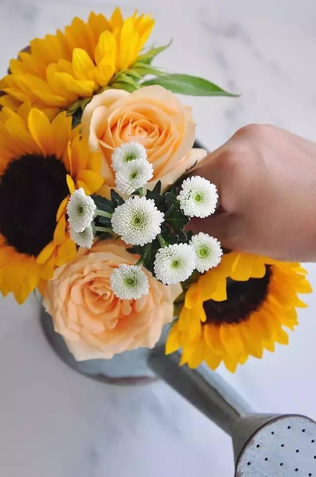 秋日花園里的小情調