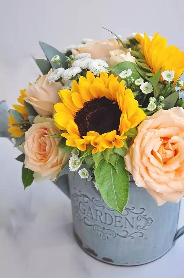 秋日花園里的小情調