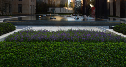 園冶杯專業獎：景瑞·天璽示范區景觀改造