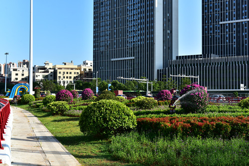 園冶杯專業獎：四橋一隧綠化重建提升工程